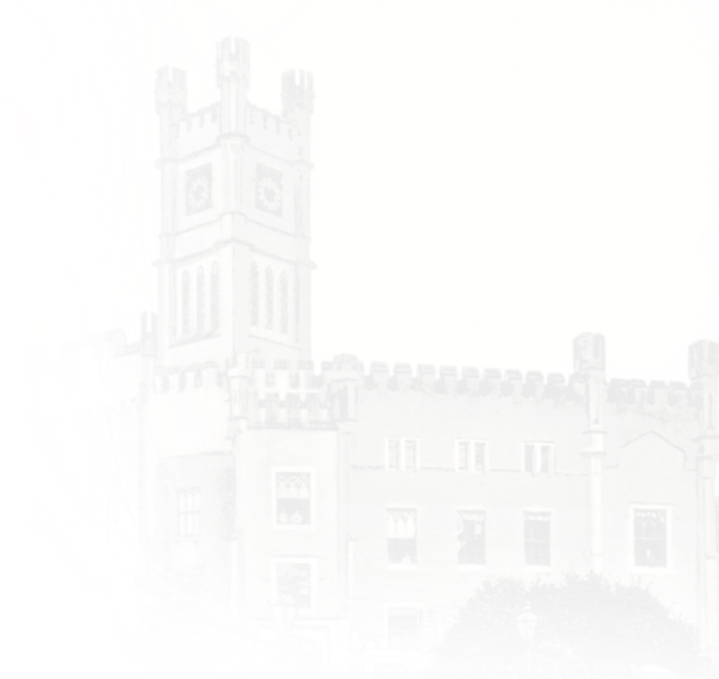 Background castle right
